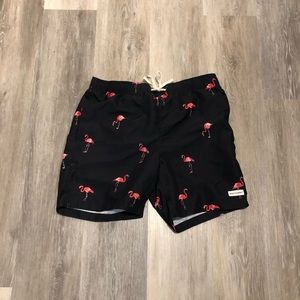 Modern Amusement Florida Flamingo 17" Swim Trunks